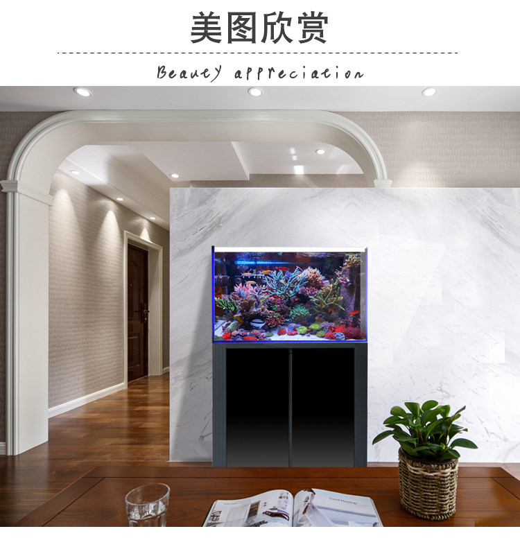 客厅中的家用观赏鱼缸场景